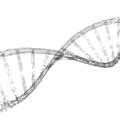 Enfermedades hereditarias, descubre algunos ejemplos