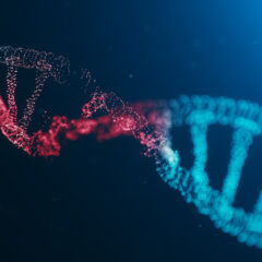 ¿Qué es el ADN?