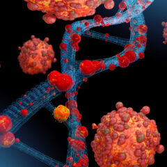 Difference between genetic and hereditary diseases