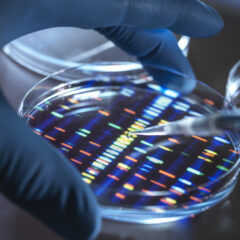 ADN extraído de la sangre y otras fuentes: ¿cómo se utiliza en genética?