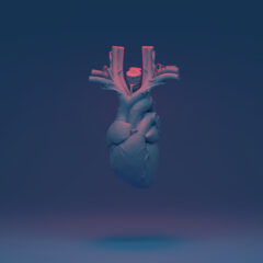 Congenital heart disease and the role of genetics