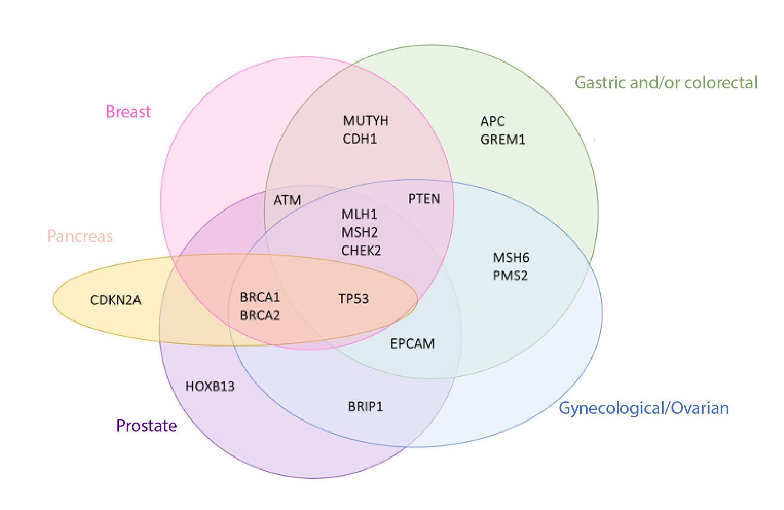 Breast and ovarian cancer genetic diagnosis - Genes Matter